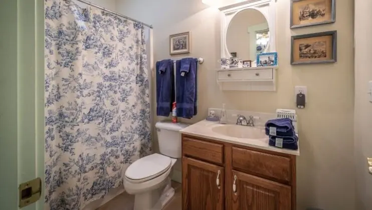 Standard Tek Büyük Yataklı Oda, Banyolu/Duşlu (The Blue Room)