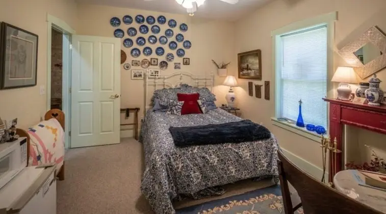 Standard Tek Büyük Yataklı Oda, Banyolu/Duşlu (The Blue Room)