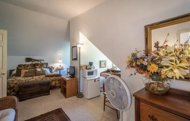 Standard Tek Büyük Yataklı Oda, Banyolu/Duşlu (Leaf Room)
