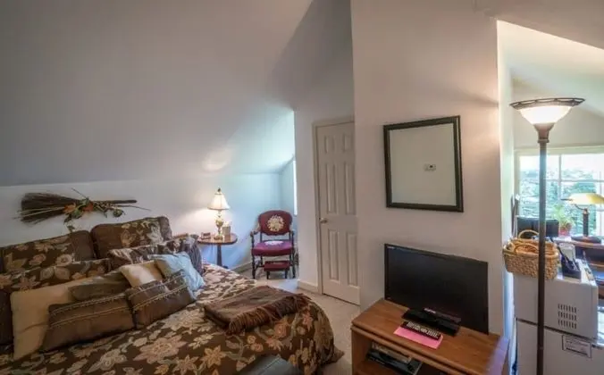 Standard Tek Büyük Yataklı Oda, Banyolu/Duşlu (Leaf Room)