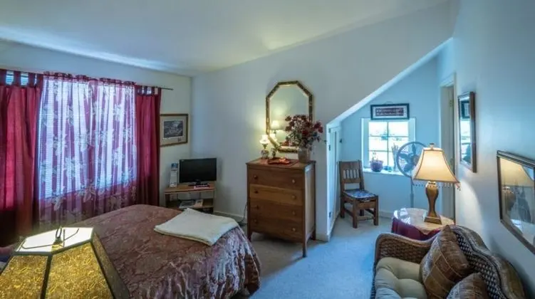 Standard Tek Büyük Yataklı Oda, Banyolu/Duşlu (The Red Room)
