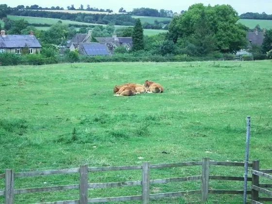 Tek Büyük Yataklı Oda, Ortak Banyo