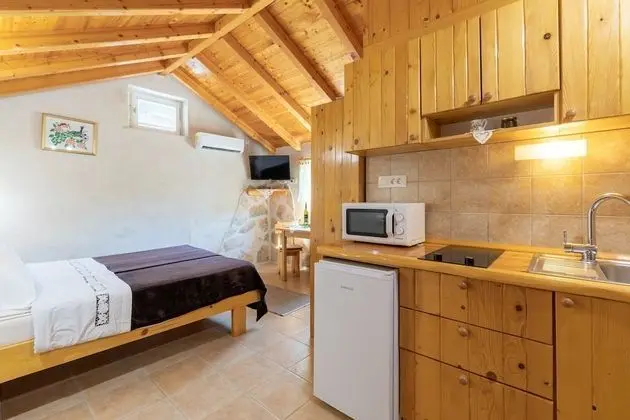 Stüdyo (Studio Apartment with Patio and Garde)