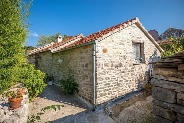 Stüdyo (Studio Apartment with Patio and Garde)