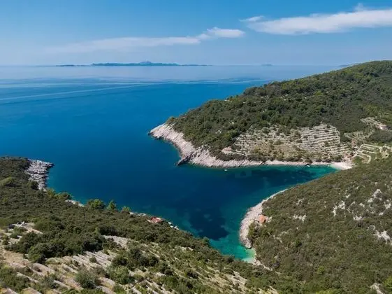 Stüdyo (Studio Apartment with Patio and Garde)