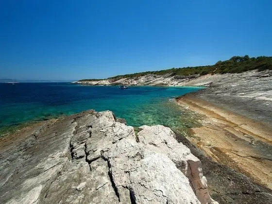 Stüdyo (Studio Apartment with Patio and Garde)