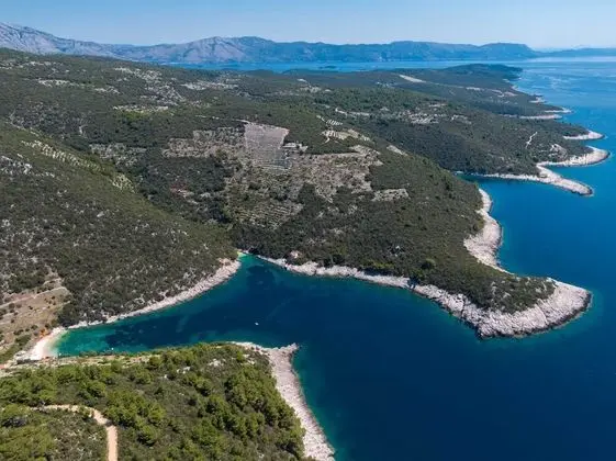 Stüdyo (Studio Apartment with Patio and Garde)