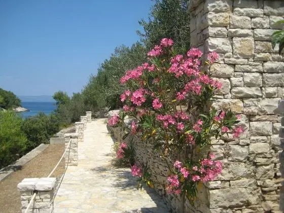 Ev (Two Bedroom Stone House with Terrace)