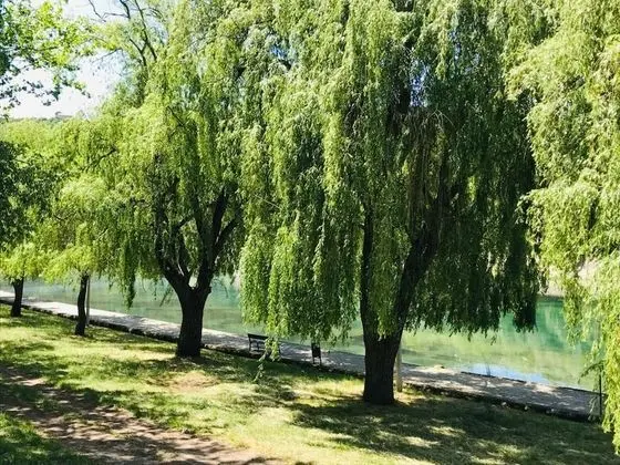 Ev, Birden Çok Yatak