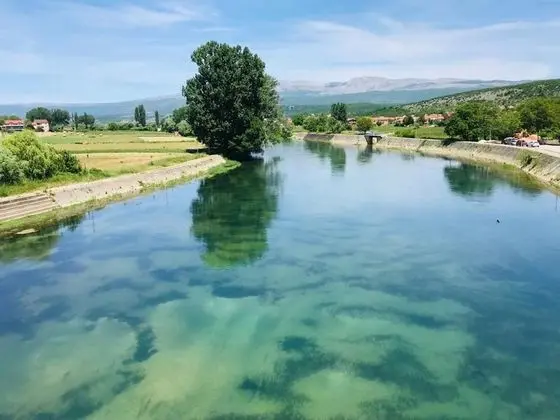 Ev, Birden Çok Yatak