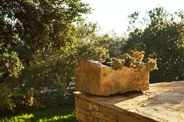 Ev (Two Bedroom Holiday Home with Terrace)