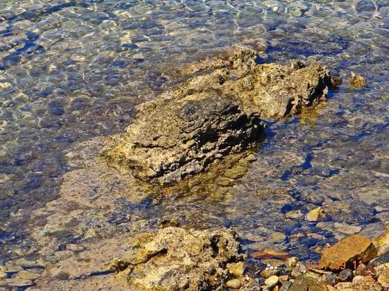 Ev (Two Bedroom Holiday Home with Terrace)