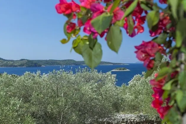 Ev (Two Bedroom Holiday Home with Terrace)