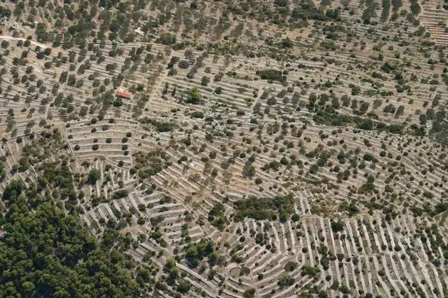 Ev (Two Bedroom Holiday Home with Terrace)