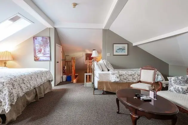 Premier Çatı Katı Süiti (Penthouse), Birden Çok Yatak, Jakuzi
