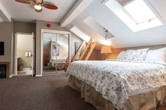 Premier Çatı Katı Süiti (Penthouse), Birden Çok Yatak, Jakuzi