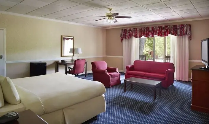 Deluxe Oda, 1 En Büyük (King) Boy Yatak (King Room)