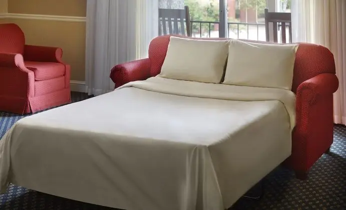 Deluxe Oda, 1 En Büyük (King) Boy Yatak (King Room)
