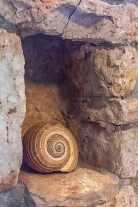 Ev (Stone - pool house - H(4))