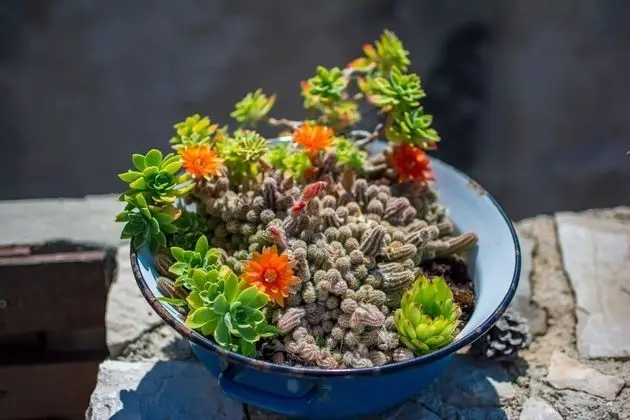 Ev (Stone - pool house - H(4))