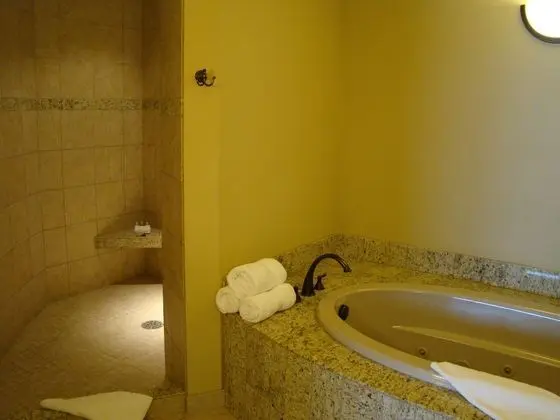 Executive Süit, 1 En Büyük (King) Boy Yatak, Mutfak (Executive King Suite Full Kitchen)