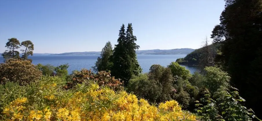 İki Ayrı Yataklı Oda, 2 Tek Kişilik Yatak (Loch View)