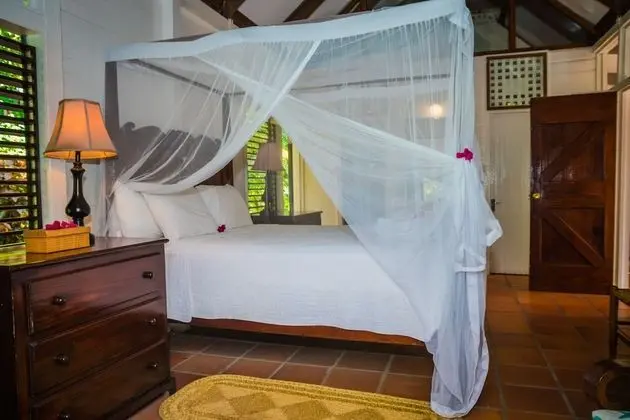 Garden View Villa
