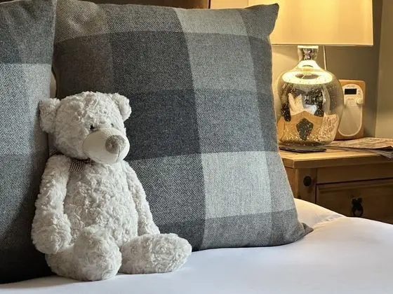 Luxury Süit, Banyolu/Duşlu