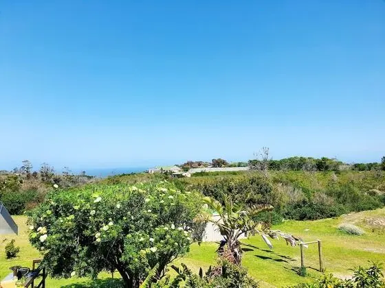 Superior Stüdyo Süit