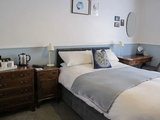 Tek Büyük Yataklı Oda, Banyolu/Duşlu (Room 2)