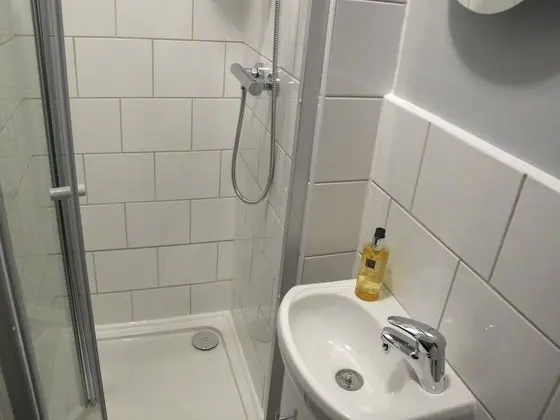 Tek Büyük Yataklı Oda, Banyolu/Duşlu (Room 2)