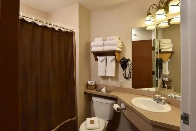 Deluxe Tek Kişilik Oda, 2 Çift Kişilik Yatak