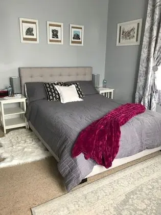Deluxe Tek Büyük Yataklı Oda, 1 Büyük (Queen) Boy Yatak, Ortak Banyo (Oak Room)