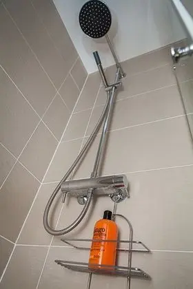 Deluxe Tek Büyük Yataklı Oda, Bahçe Manzaralı