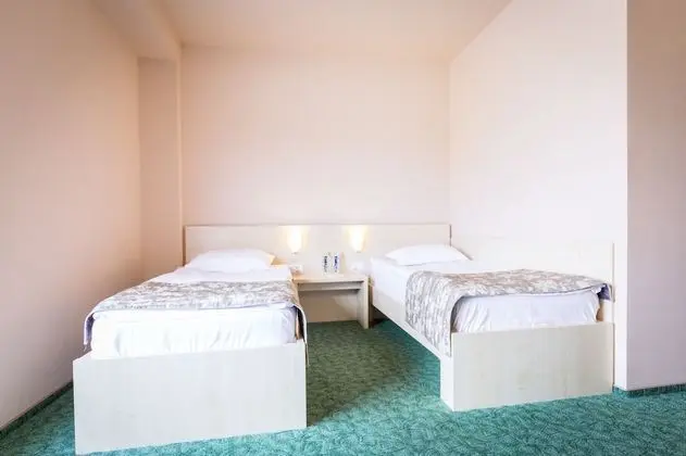Standard Tek Büyük veya İki Ayrı Yataklı Oda, 2 Tek Kişilik Yatak