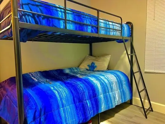 Basic Ortak Ranzalı Oda (Mixed Dorm)