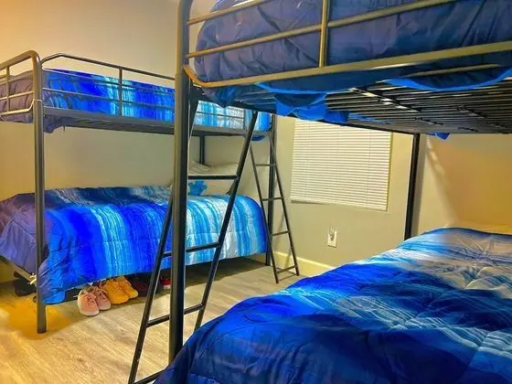 Basic Ortak Ranzalı Oda (Mixed Dorm)