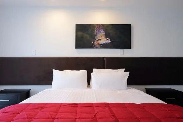 Deluxe Stüdyo Süit, 1 En Büyük (King) Boy Yatak