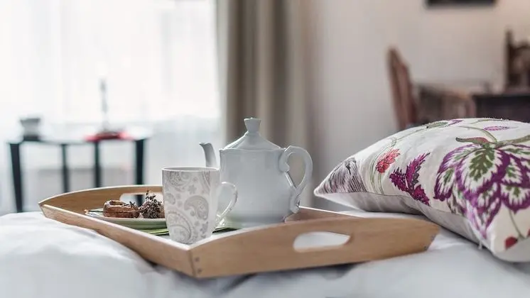 Superior Tek Büyük Yataklı Oda