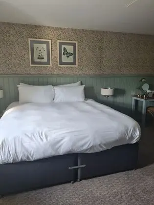 Standard Dört Kişilik Oda