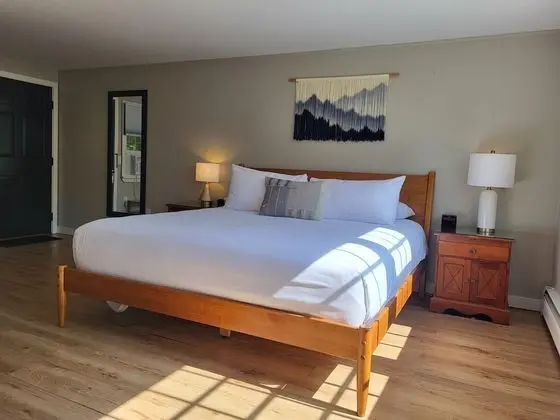 Motel - 1 King Bed (No Pets)
