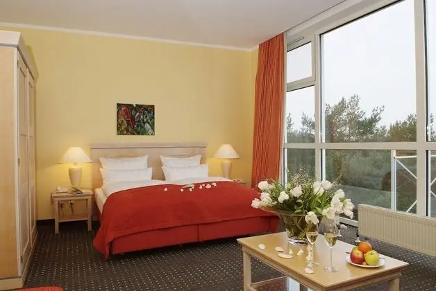 Deluxe Tek Büyük Yataklı Oda, Park Manzaralı