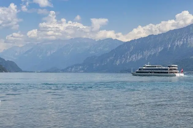 Panoramic Tek Büyük Yataklı Oda, 1 Yatak Odası, Göl Manzaralı, Göl Kenarı