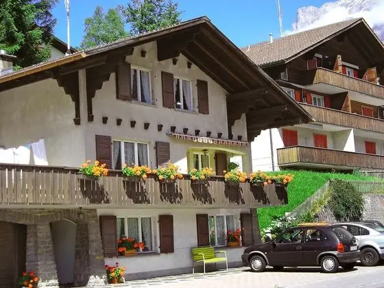 Ev