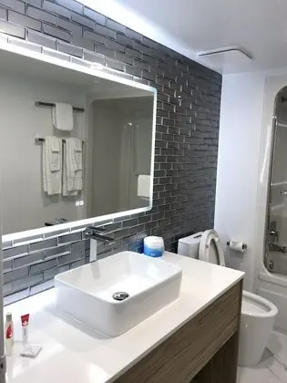 Süit, 1 En Büyük (King) Boy Yatak, Sigara İçilmez (Loft)