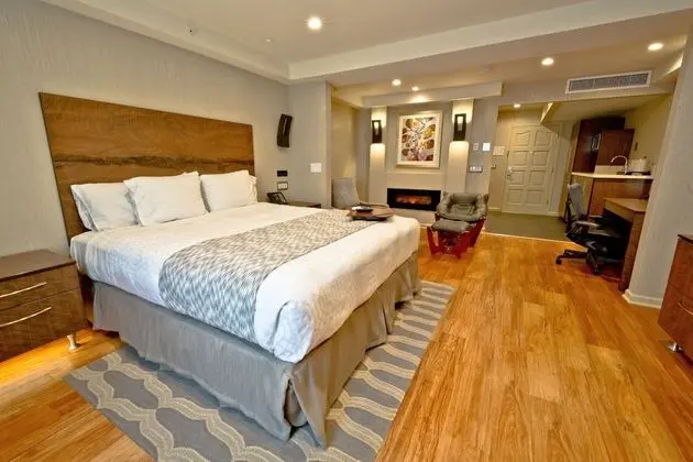 Economy Süit, 1 En Büyük (King) Boy Yatak (King Bed Executive Non-Smoking)