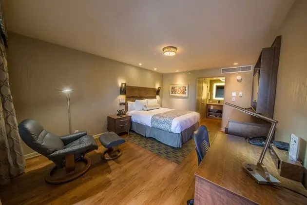 Standard Oda, 1 En Büyük (King) Boy Yatak (Deluxe King Bed Room Non-Smoking)