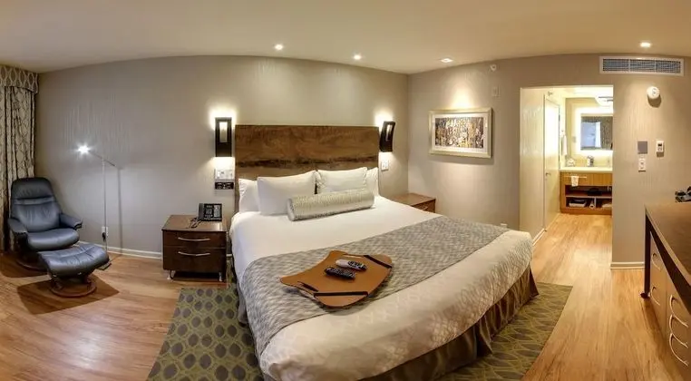 Standard Oda, 1 En Büyük (King) Boy Yatak (Deluxe King Bed Room Non-Smoking)