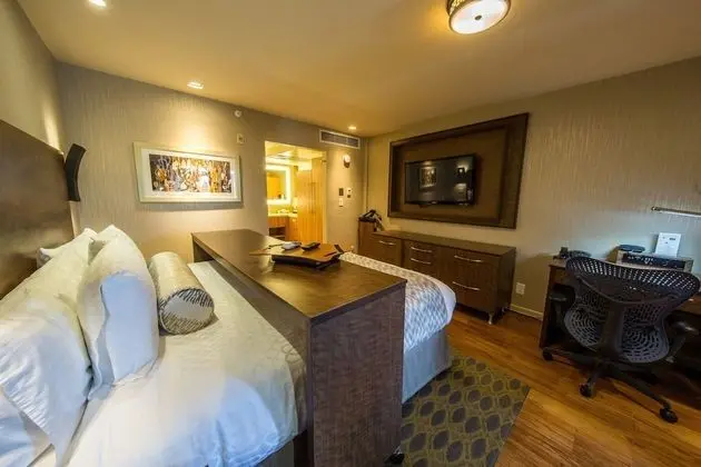 Standard Oda, 1 En Büyük (King) Boy Yatak (Deluxe King Bed Room Non-Smoking)