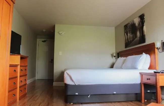 Executive Oda (Newly Remodeled, King)